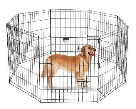 puppy in kennel