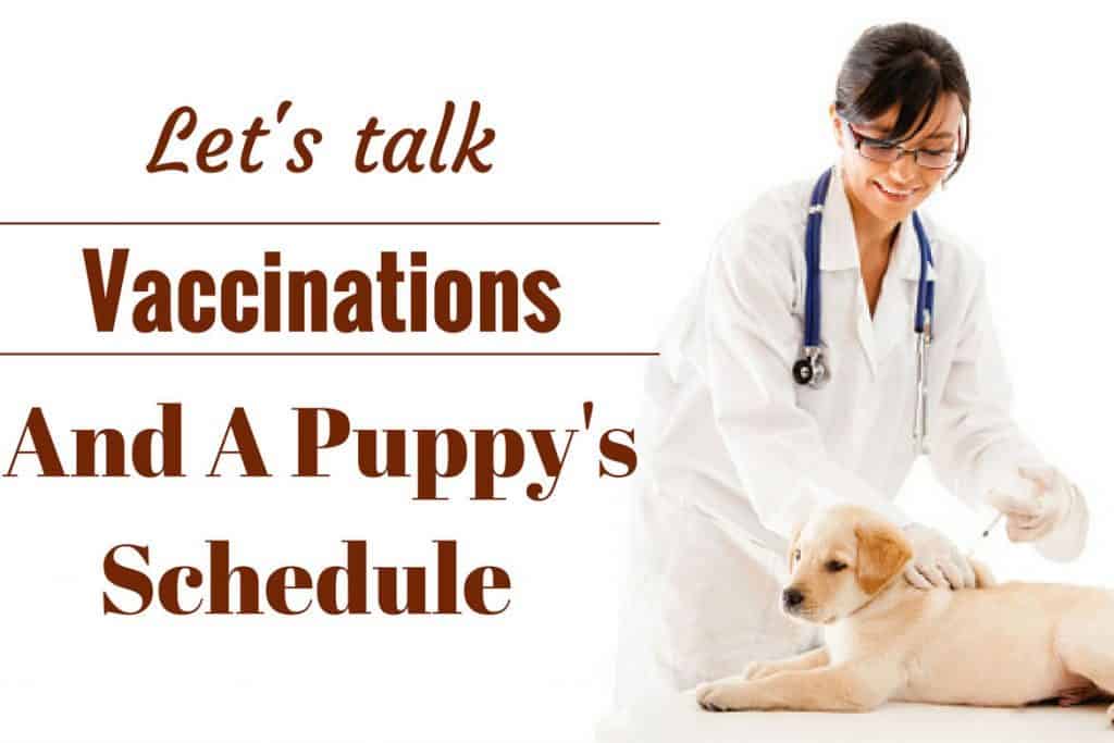 puppy immunization