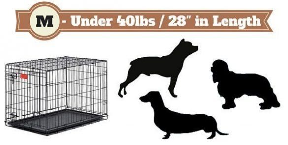 Best Dog Crates Type To Get (Complete Guide of Lab Cages 2020)