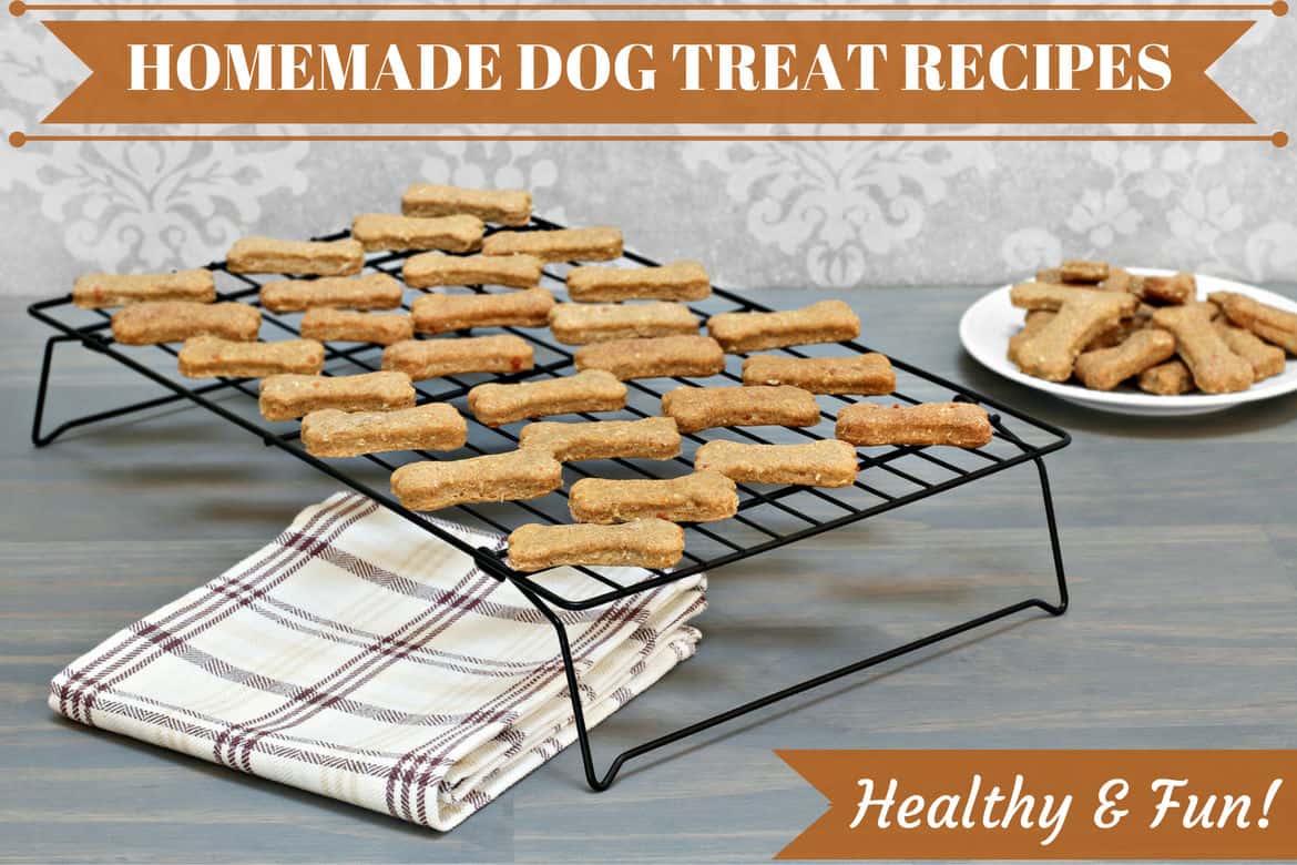 Homemade Dog Treats: Recipes, Tips, & Tricks for Delicious DIY Treats