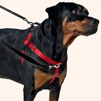 best leads for dogs that pull