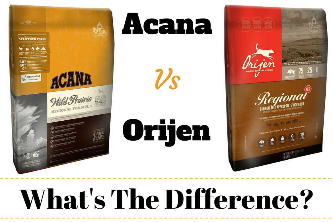 Acana vs Orijen escrito entre um saco de cada marca de comida de cachorro no branco bg