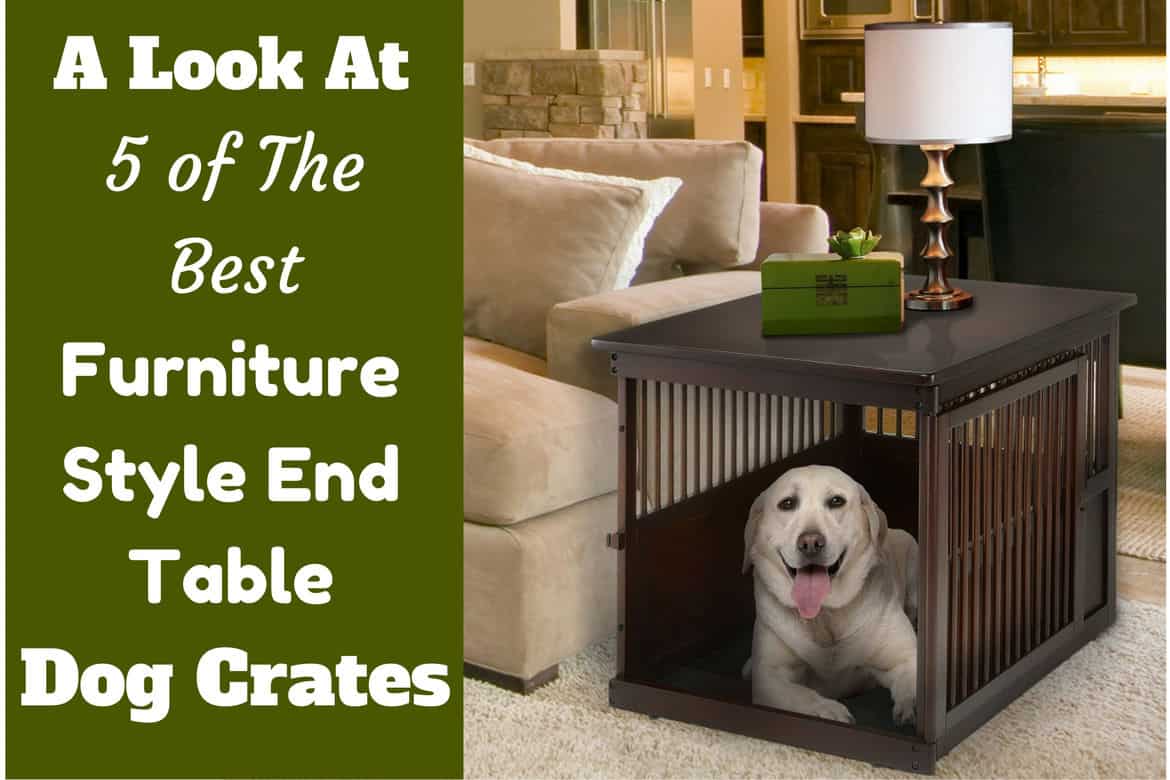 5 Best Designer Furniture Style End Table Dog Crates In 2020