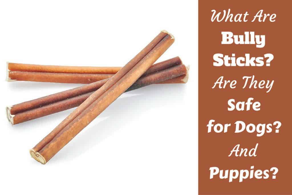 what are bully sticks made from