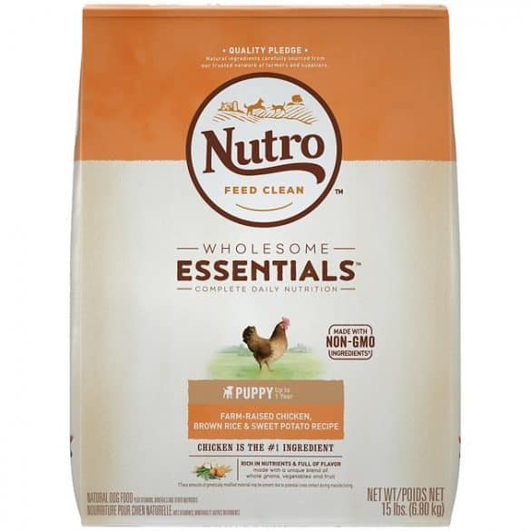 Nutro Dog Food Review — Is Natural Choice Good? (2020 Rating)