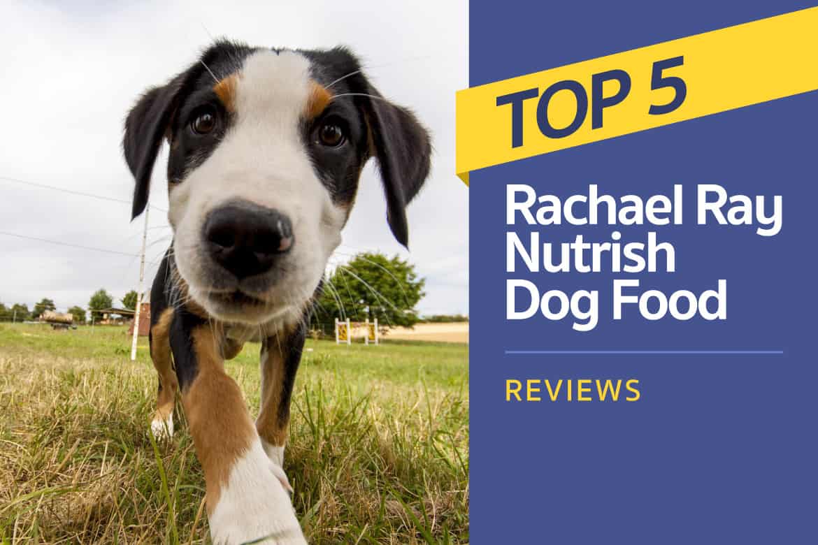 Nutrish Dog Food Feeding Chart A Visual Reference Of Charts Chart Master