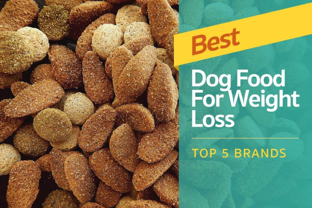 Best Dog Food For Weight Loss Top 5 Brands