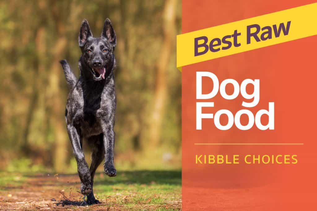 4-best-raw-dog-food-best-raw-puppy-food-kibble-choices-to-make