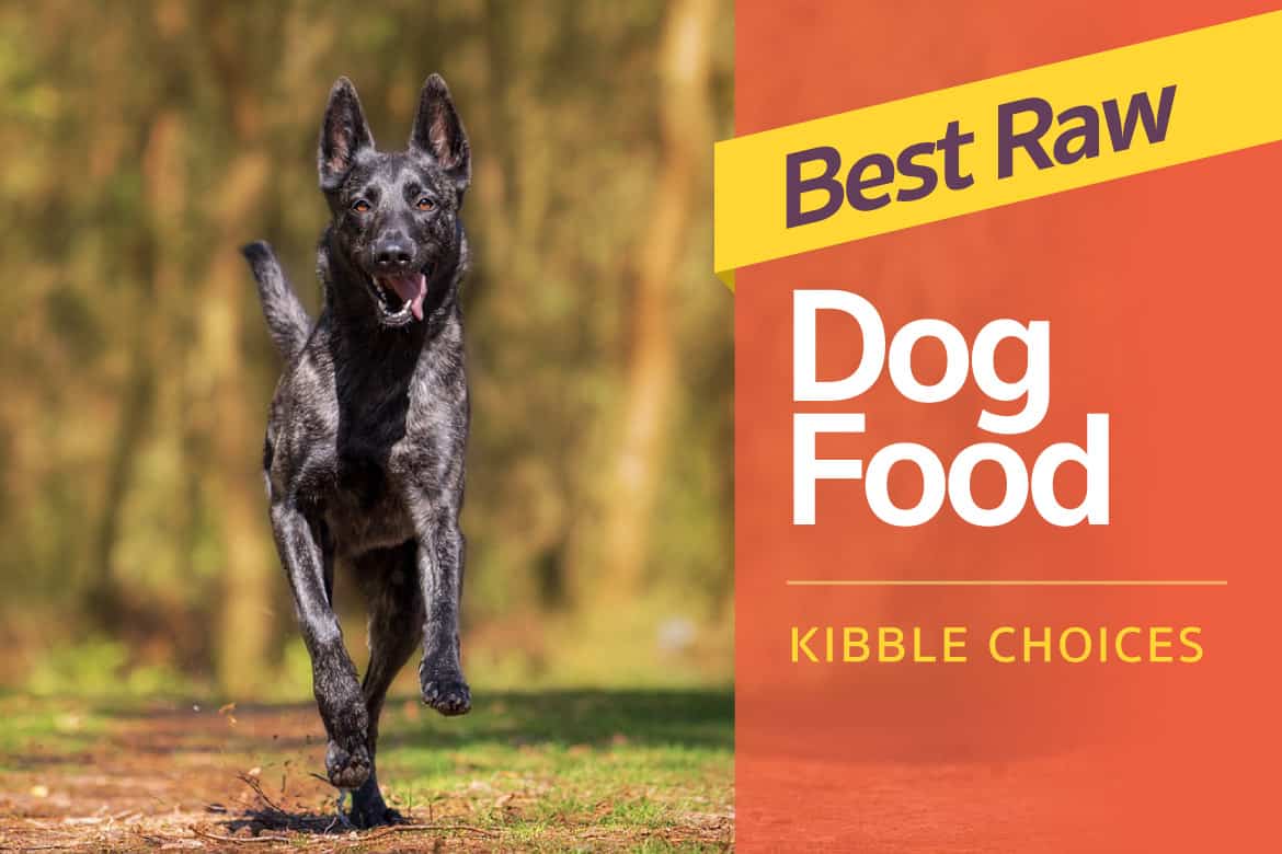 whats the best raw food for dogs