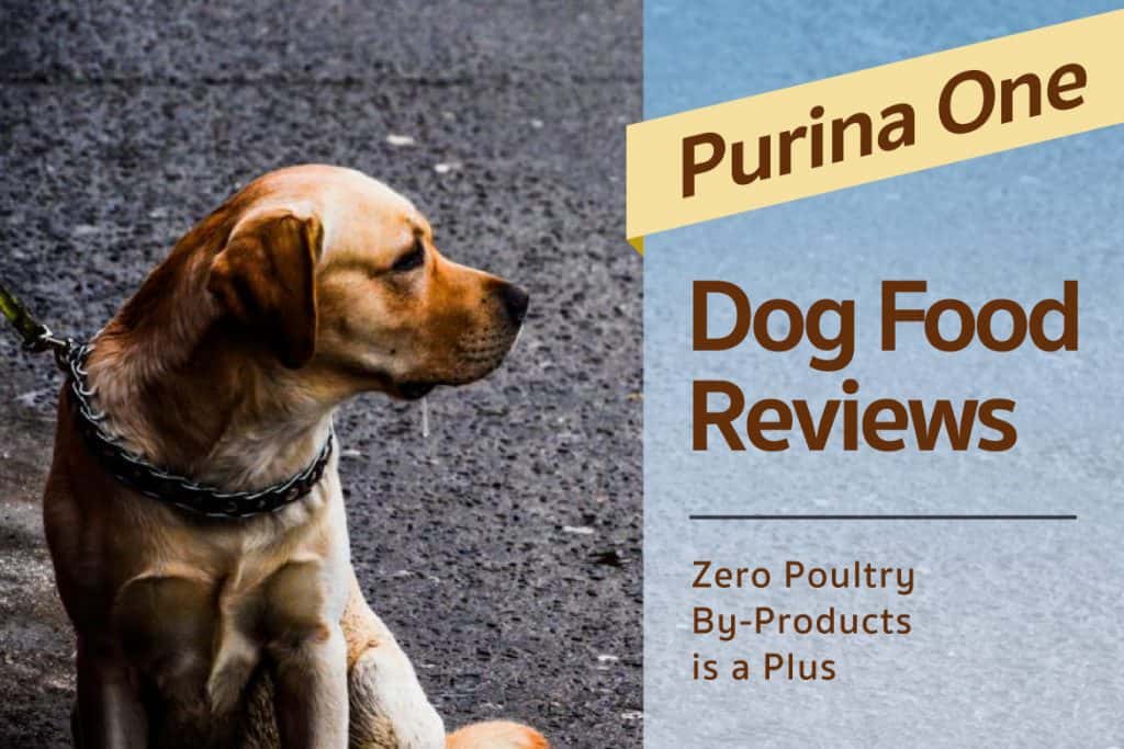 purina one dog food rating