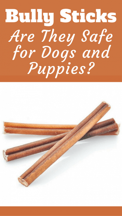 what are bully sticks made from