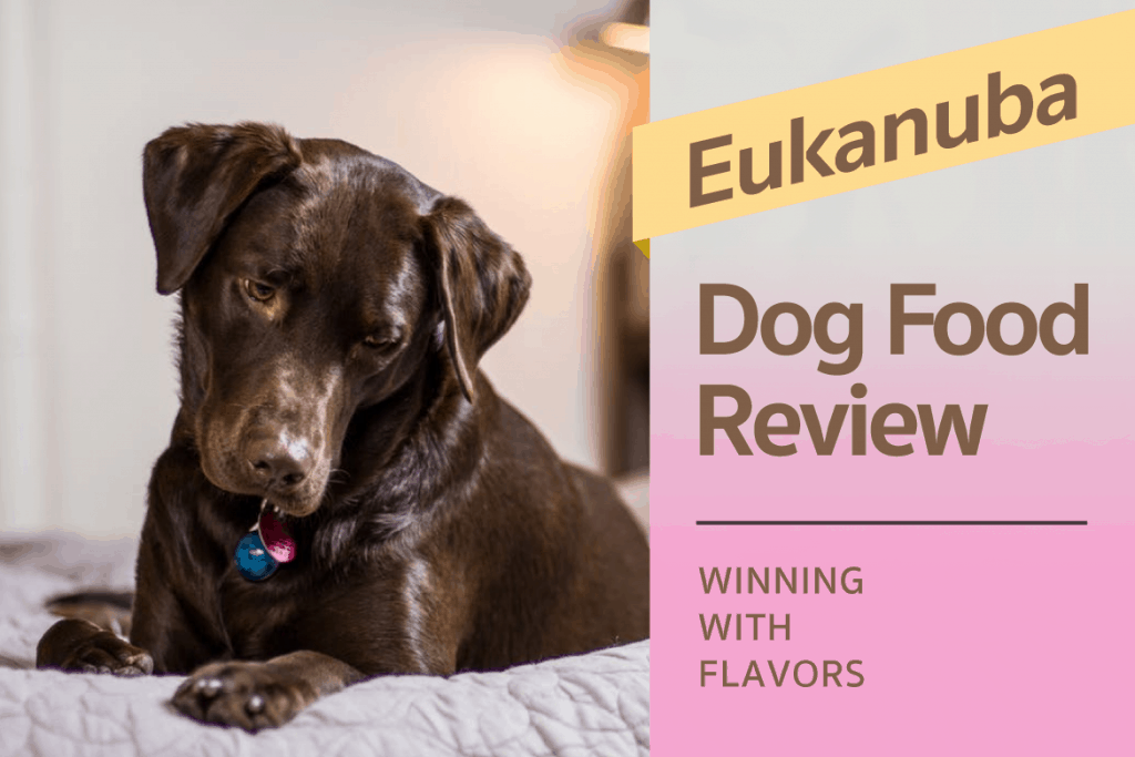 eukanuba dog food ingredients list
