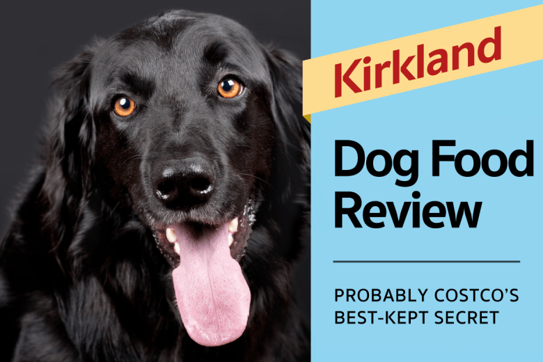 kirkland puppy food review