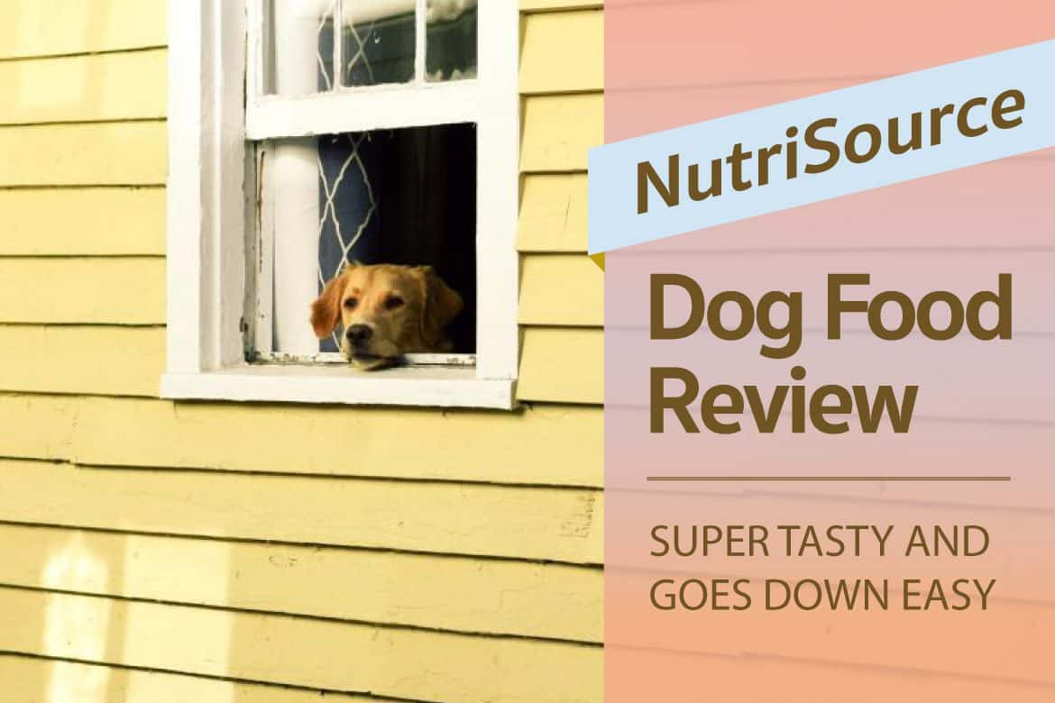 nutrisource-dog-food-review-super-tasty-and-goes-down-easy