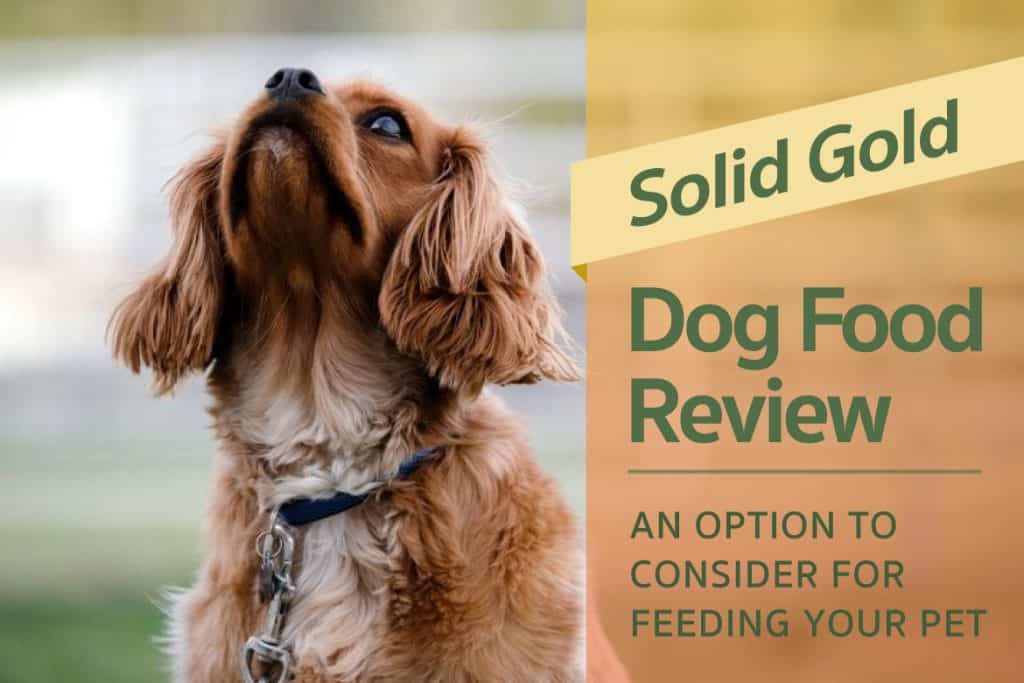 solid gold dog food reviews 2017