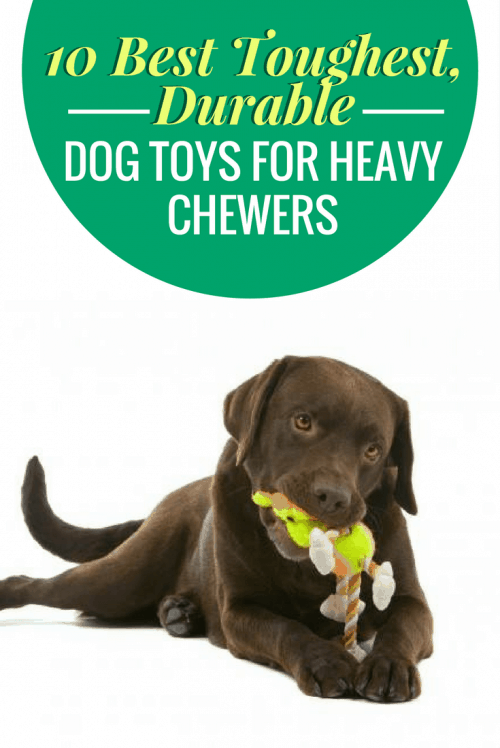 soft dog toys for heavy chewers