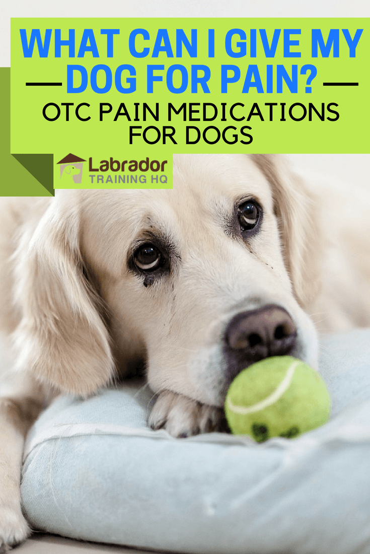 pain meds for dogs