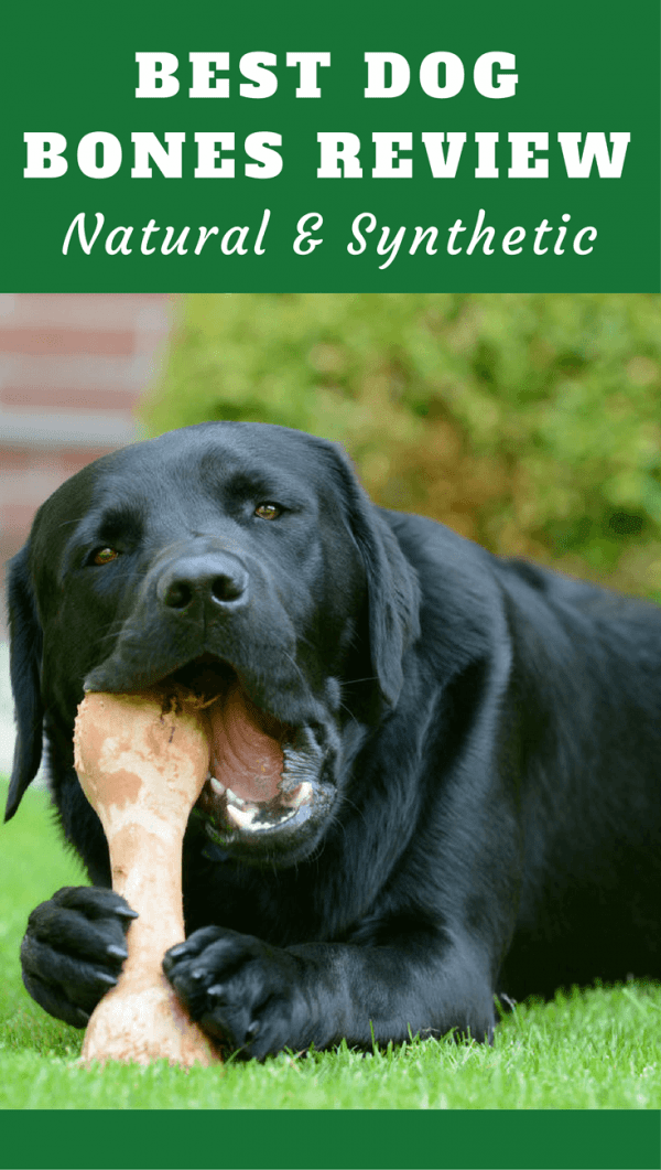 Top 6 Best Dog Bone Reviews 2019 