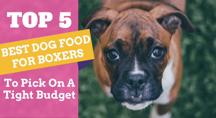 Top 5 best dog food for boxers to pick 