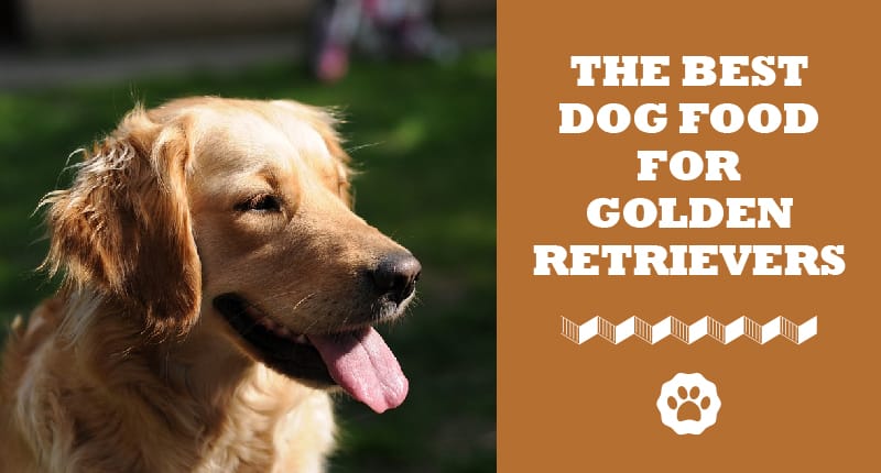 best puppy food for golden retrievers 2018
