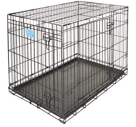 best crate for labradoodle