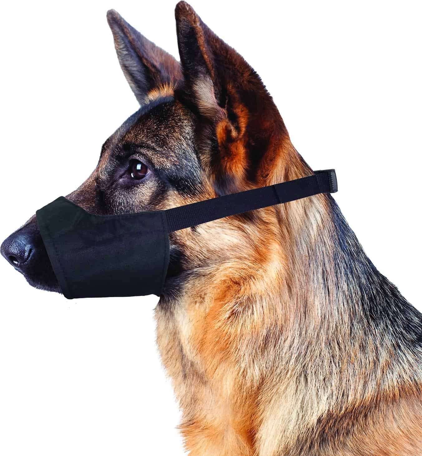 petco dog muzzle