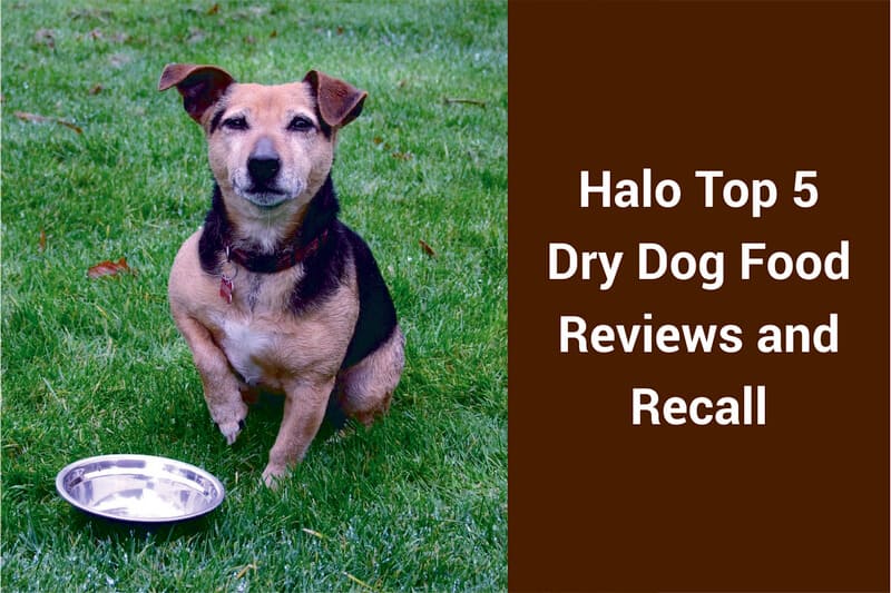 halo small breed dog food