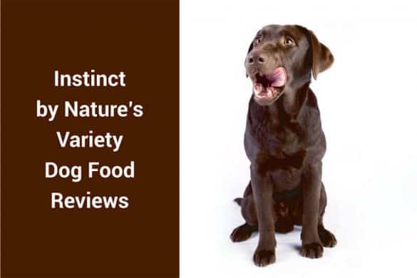 Instinct by Nature's Variety Dog Food Reviews - Recalls ...