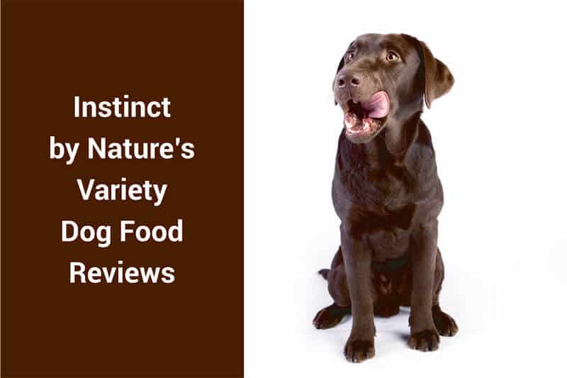 Instinct By Nature s Variety Dog Food Reviews Recalls And Best 