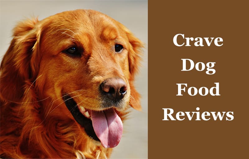 crave dog food wet