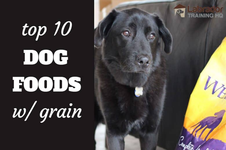 the best dog food with grains