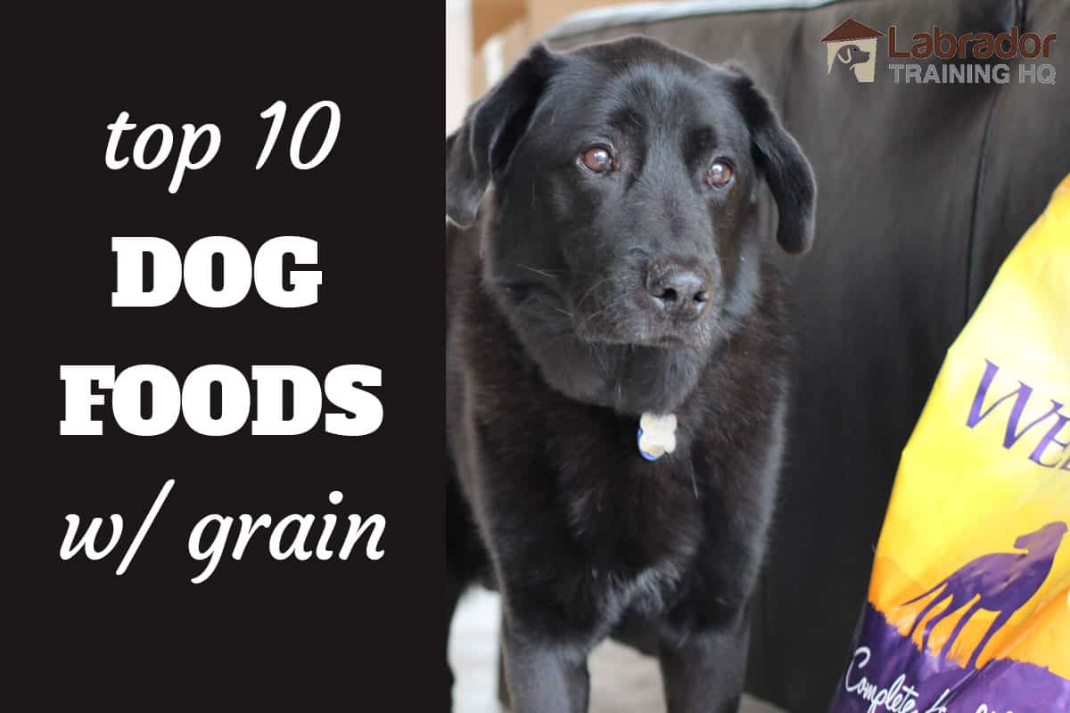 are any grains good for dogs