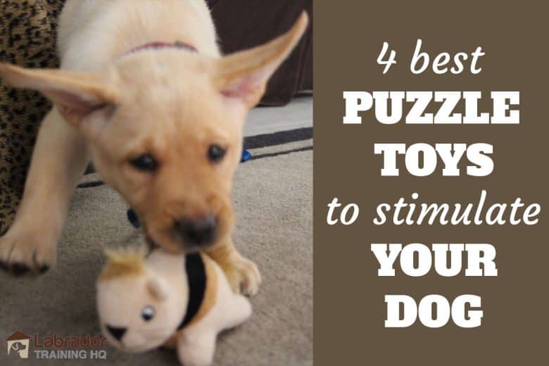 best puzzle toys