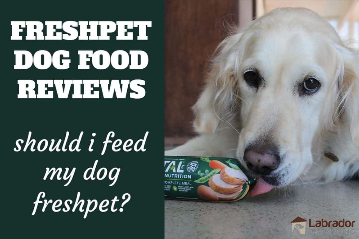 Should I Be Feeding My Dog Freshpet Dog Foods?