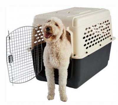 best crate for labradoodle